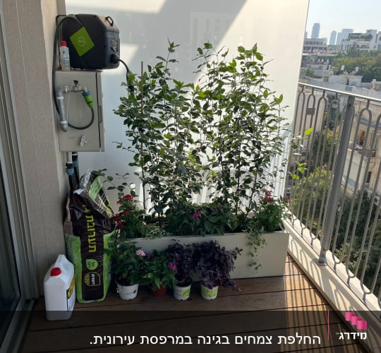 צמחים וציוד גינון במרפסת